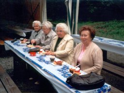 Sommerfest 94